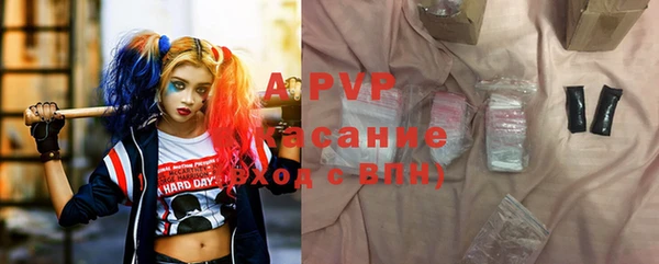 гашик Инта