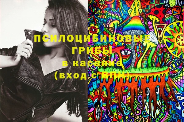 гашик Инта