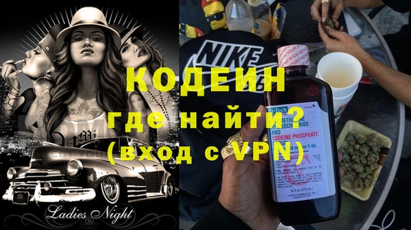 гашик Инта