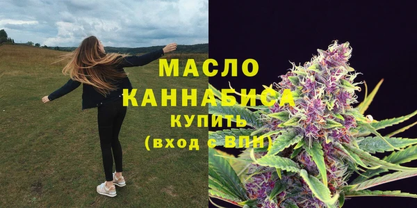 гашик Инта