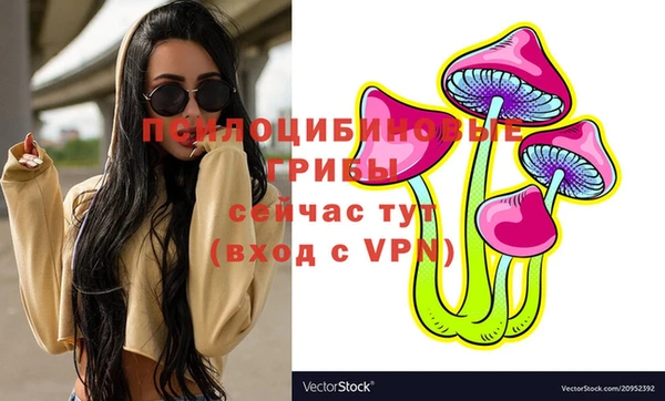 гашик Инта
