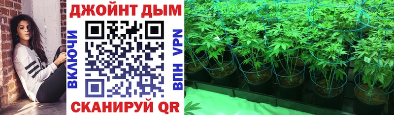 Конопля тримм  Купить закладки  Воркута 